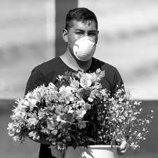 All products flowers roses plants balloons teddy bears fruit baskets gift baskets chocolate farm fresh wine faux flowers cookies scented/bath _. A Wilting Industry Forecasts A Strong Comeback From Covid 19 News Flower Style Magazine