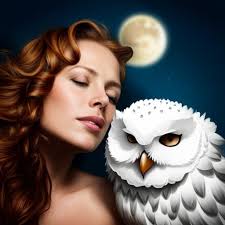 What Does It Mean To See A White Owl? Symbolism & Spiritual Significance
