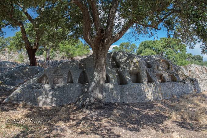 17.2: Rock site of Santo Stefano - Oschiri - La Sardegna verso l'Unesco