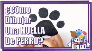 We did not find results for: Como Dibujar Una Huella De Perro Dibujo De Huella De Perro Paso A Paso Youtube