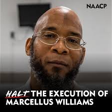 Noah Palm (@NoahPalm99)