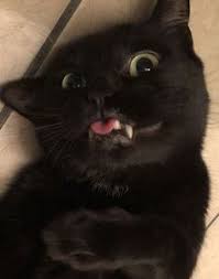  Hendri Coitarul53 Profil Pinterest