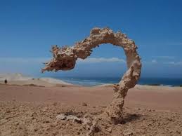 This Is What Happens When Sand Gets Struck By Lightning Fulgurites Are Natural Hollow Glass Tubes Formed In Quartzo With Images Amazing Nature Natural Phenomena Nature