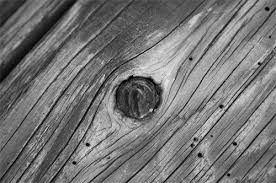 Black And White Wood Grain Background Black White Wood Grain Photo Wood Grain Wood Texture Morning Wood