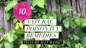 Having trouble identifying poison ivy? Nature S Poison Ivy Relief Green With Renvy Green With Renvy