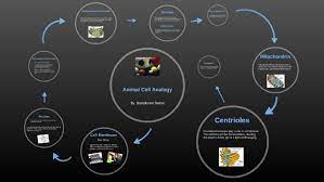 Teachers often assign cell analogy projects for this reason. Animal Cell Analogy Sporting Event By Brandilynne Barber