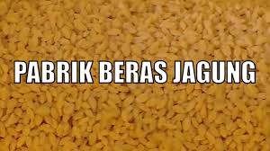 Tambahkan air ( beras jagung 125 gram dg air 200 ml atau sesuai selera ). Kepoin Pabrik Pembuatan Beras Sehat Berbahan Singkong Dan Jagung Si Unyil 25 06 20 Youtube