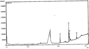 Image result for Berlinia grandiflora