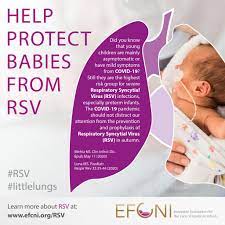 Respiratory syncytial virus (rsv) is a highly contagious, seasonal lung infection. Respiratory Syncytial Virus Rsv Efcni