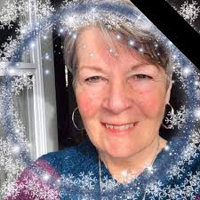 Live Blue Jay Traffic in Backyard at 8:30 AM