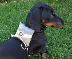 Dog Ring Bearer Engagement Pillow Rhinestone Collar Silver Gray And White In 2021 Dog Ring Bearer Pillow Ring Bearer Dog Ring Bearer Wedding
