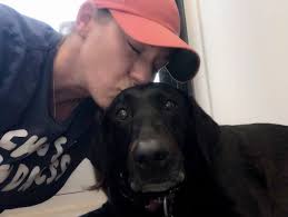 How to get emergency vet help for a dog in Ocala?