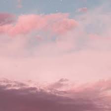 Slower growth, leaf damage, root damage; How Does Light Pollution Affect Plants And Animals Brainly Com