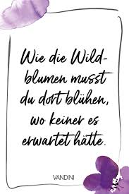Spruch Zitate Blumen Zitate Leben Zitate Kurz In 2020 Life Quotes Flower Quotes Language Quotes