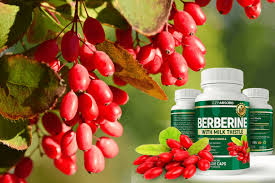 But the smart blood sugar guide is not intended to be a diet, but rather a way of changing the way you eat and live to provide you with a better way of life. Smart Blood Sugar Reviews Dr Marlene Merritt Diabetes Reversal Recipe How Effective To Reversing Diabetes