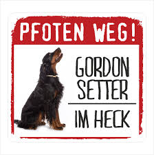 Although this breed was originally used as a bird dog and makes an excellent hunting companion, today it is also a great family. Auto Aufkleber Reflective Gordon Setter Pfoten Weg Hunde By Siviwonder Ebay