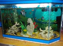 Tapi kalo yang pake casan tadi bisa di banyakin lampunya ko. Cara Membuat Aquarium
