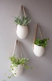 Hangende Zimmerpflanzen Und Balkonpflanzen Umweltgerechtes Haus Balkon Pflanzen Hangepflanzen Zimmer Und Badezimmerpflanzen