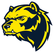 As a mascot, the chippewa name has gone through the ncaa, the central michigan university student body and the saginaw chippewa indian tribal council members. Pin On Go Blue V Ichigan
