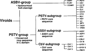 Levels Of Biological Organization From Smallest To Largest Quizlet Viroids An Overview Sciencedirect Topics