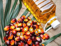 Palm Oil Palm Oil Prices Surge 40 In A Year The Economic