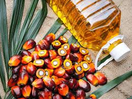 Palm Oil Palm Oil Prices Surge 40 In A Year The Economic