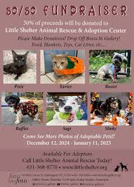💛 🐾 **The 50/50 FUNDRAISER FOR @Little Shelter Animal Rescue & Adoption  Center has been EXTENDED UNTIL JAN. 11TH! ** 💛 🐾 ** Please stop by  fotofoto gallery Thurs