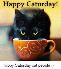 Check spelling or type a new query. Happy Caturday Happy Caturday Cat People Caturday Meme On Me Me