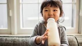 Which  milk  is  best  for  a  1  year  old?