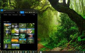 No messing around with hex values. Amazon Rainforest Theme For Windows 10 Download Pureinfotech