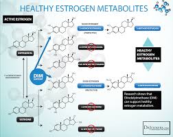 12 Tips To Balance Estrogen Levels Naturally Drjockers Com