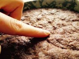 (fig 4) or better still with freshly made custard. How To Know When Your Cake Is Done What Sarah Bakes