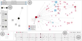 Fraud detection methods are continuously developed to defend criminals in adapting to their strategies. Neva Visual Analytics To Identify Fraudulent Networks A Leite 2020 Computer Graphics Forum Wiley Online Library