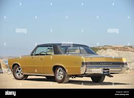 Image result for Tiger Gold 1965 GTO