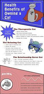 Health Benefits Of Owning A Cat Infographic Cat Infographic Owning A Cat Pet Care Cats