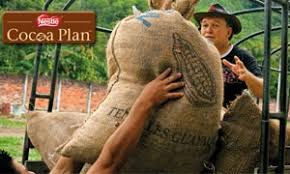 Nestle Cocoa Plan Delivers More Sustainable Cocoa Nestle Philippines
