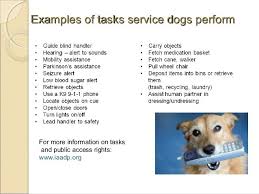 Service Dogs Therapy Dogs Emotional Support Animals 6 638 Jpg 638 479 Emotional Support Animal Emotional Support Dog Therapy Dogs