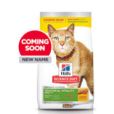 Cooking for cats can be a great way to get your cats the proteins they need, and it can also be a very enjoyable pastime for the people making it. Hill S Science Diet Dry Cat Food Adult 7 For Senior Cats Senior Vitality Chicken Rice Recipe Buy Online In Belize At Belize Desertcart Com Productid 40560131