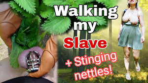 Entrenamiento cero dominatrix en humillación pública! Mariquita en jaula de  castidad mostrando pis, punzante, ortiga disciplina torturando pelotas -  tortura peniana real