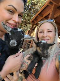 Our 5 day old bottle kids Marigold and Hotdog. If goats go too long without  a name or I let him name one my husband names them after food. Not sure why