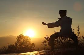 Pencak Silat Tampil Perdana Di Panggung Unesco