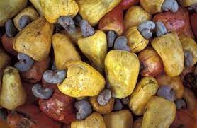 Check spelling or type a new query. The Most Toxic Foods We Love To Eat Toxic Foods Cashew Cashew Nut