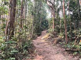 Gunung angsi with a height of 824 m or 2702 ft above sea level. Trans Gunung Angsi Hike From Bukit Putus Pokok Kelapa