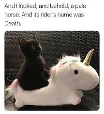 In the movie, tombstone, what is the line about a pale horse & death rides with him spoken by michael biehn? And I Looked And Behold A Pale Horse And Its Rider S Name Was Death Ifunny