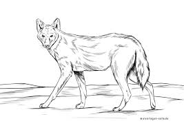 Input hex, rgb, hsl or cmyk values to search for a particular color in the fields. Coloring Page Jackal Wild Animals Free Coloring Pages