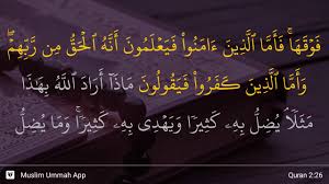 Terjemahan perkata per kata, tafsir ~ audio reciter. Surah Al Baqarah Ayat 26 Qs 2 26 Tafsir Alquran Surah Nomor 2 Ayat 26