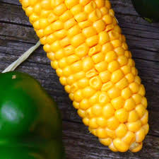 Maybe you would like to learn more about one of these? Growing Sweet Corn In A Garden How To Grow Corn In Backyard Garden