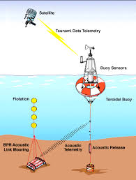 The pacific tsunami warning center (ptwc) provides warnings of tsunamis to the public and to organizations responsible for public safety in coastal areas of hawai'i (since 1949), the pacific ocean. Real Time Tsunami Reporting From The Deep Ocean