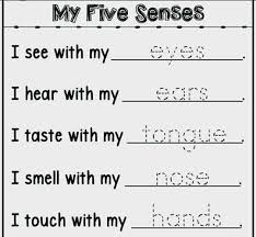 Sense Of Organs In 2020 My Five Senses Senses Words