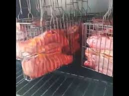 Cara cara membersihkan itik itiksalaibychefsudu chefsudu lelakididapor smahi. Cara Cara Untuk Membuat Daging Salai Youtube